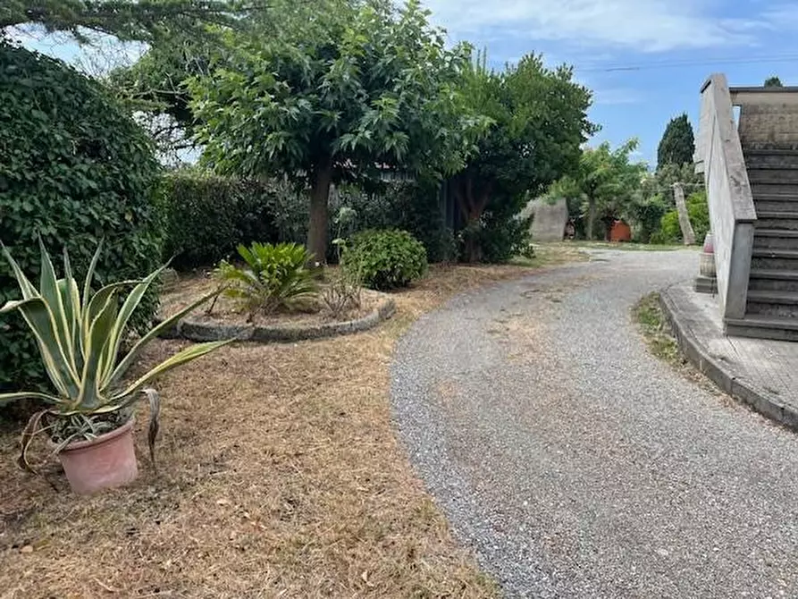 Immagine 3 di Porzione di casa in vendita  a Terricciola