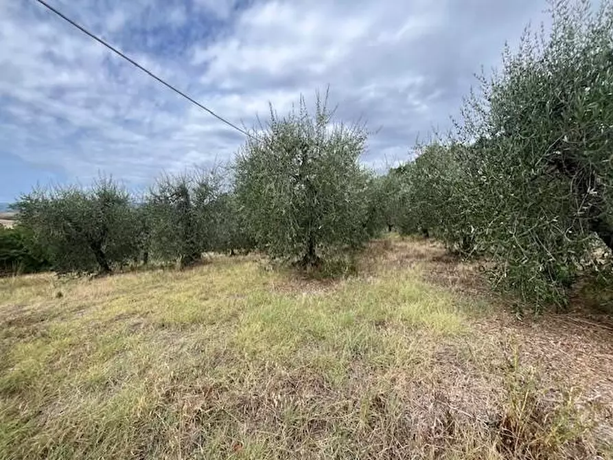 Immagine 5 di Porzione di casa in vendita  a Terricciola