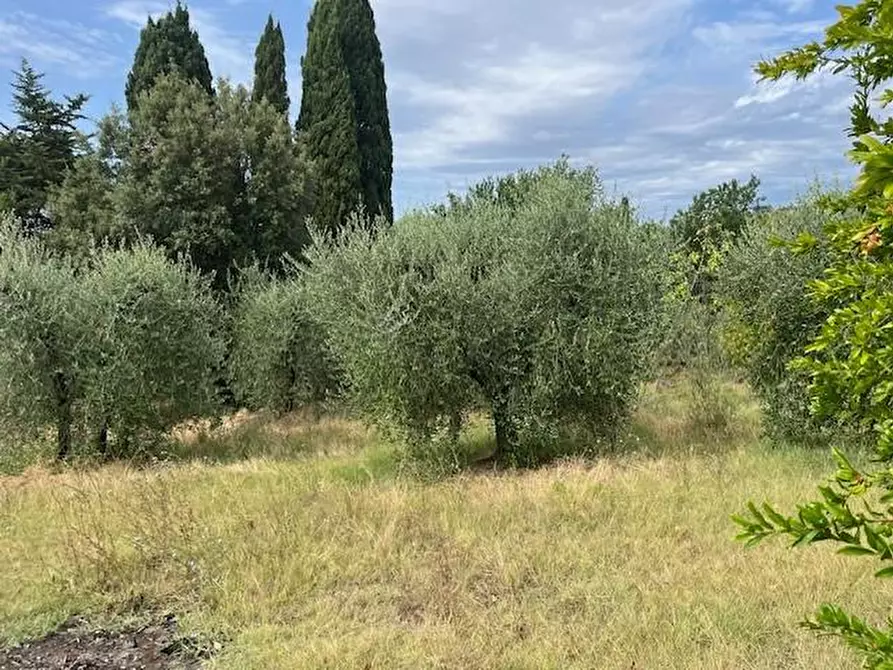 Immagine 7 di Porzione di casa in vendita  a Terricciola