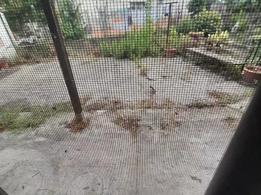 Immagine 13 di Appartamento in vendita  a Vicopisano