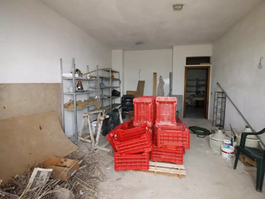 Immagine 19 di Casa bifamiliare in vendita  a Casole D'elsa