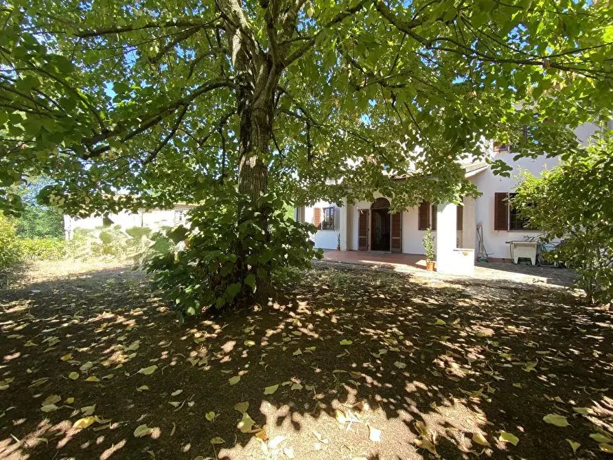 Immagine 18 di Casa bifamiliare in vendita  a Fucecchio