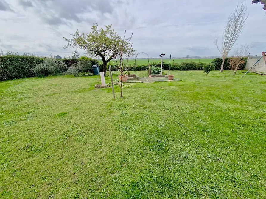 Immagine 29 di Villa in vendita  a San Giuliano Terme