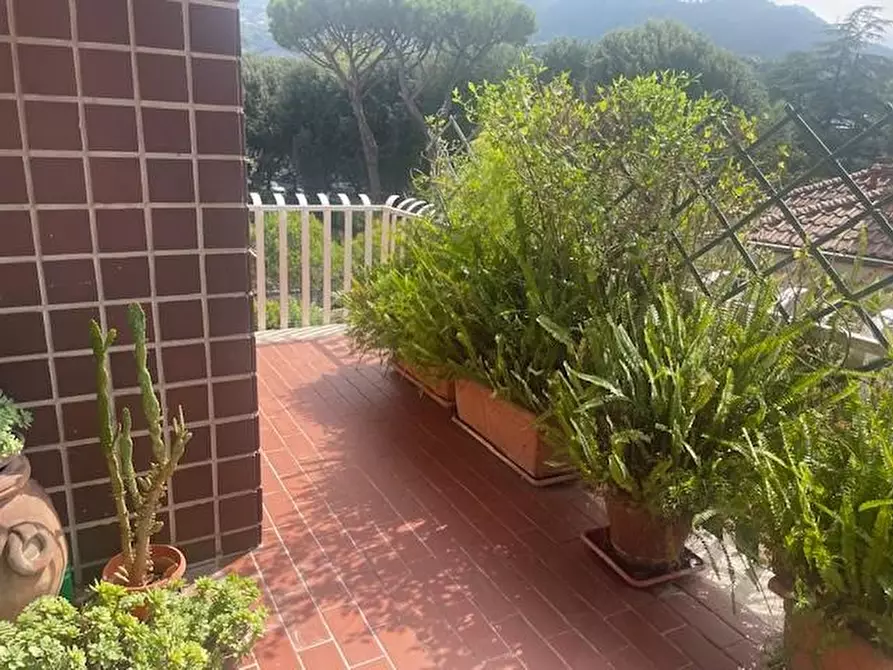 Immagine 5 di Appartamento in vendita  a Massa