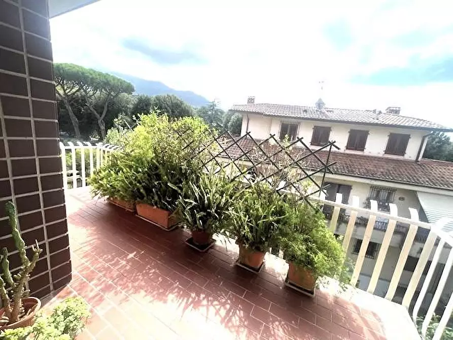 Immagine 6 di Appartamento in vendita  a Massa