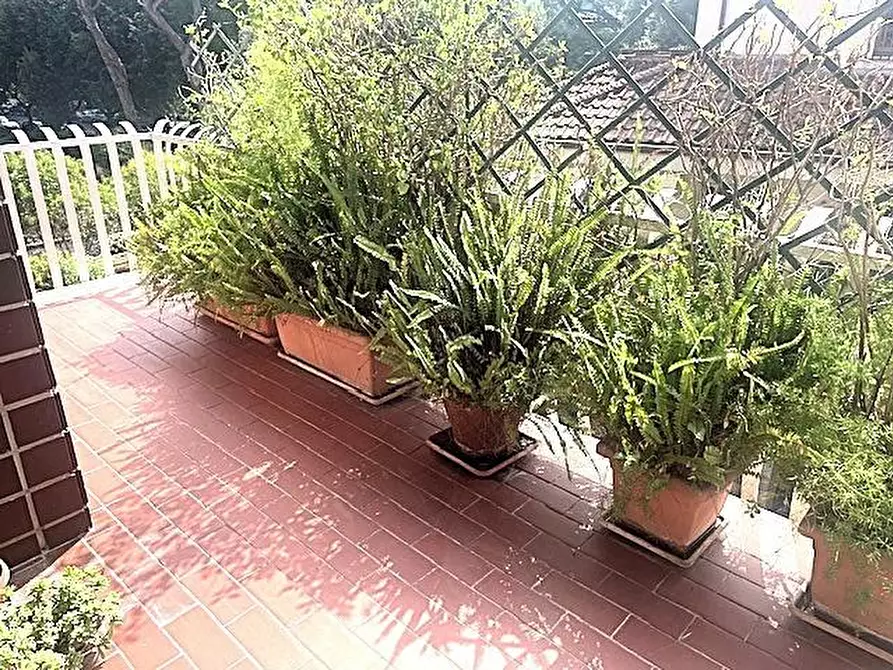 Immagine 44 di Appartamento in vendita  a Massa