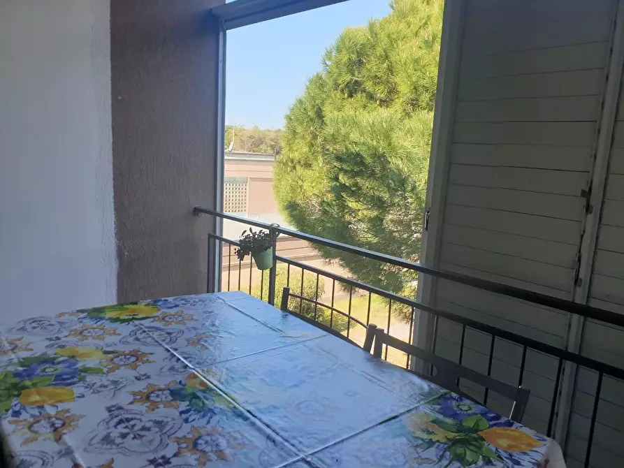 Immagine 6 di Appartamento in vendita  a Bibbona