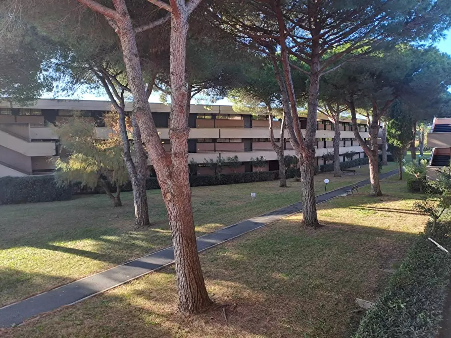 Immagine 2 di Appartamento in vendita  a Bibbona