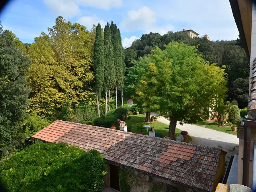 Immagine 14 di Appartamento in vendita  a Palaia