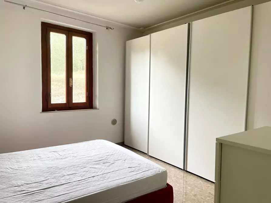 Immagine 5 di Terratetto in vendita  a Lamporecchio