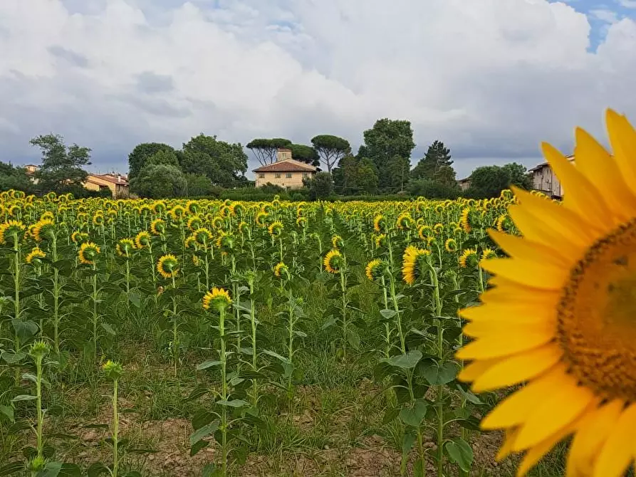 Immagine 1 di Terreno agricolo in vendita  a Cascina