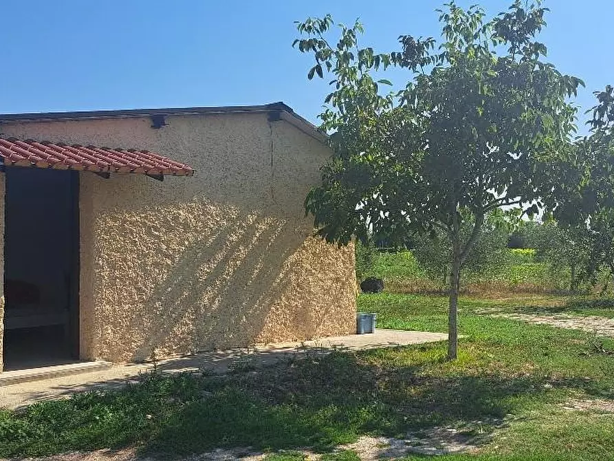 Immagine 8 di Terreno agricolo in vendita  a Cascina