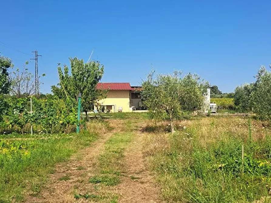 Immagine 3 di Terreno agricolo in vendita  a Cascina