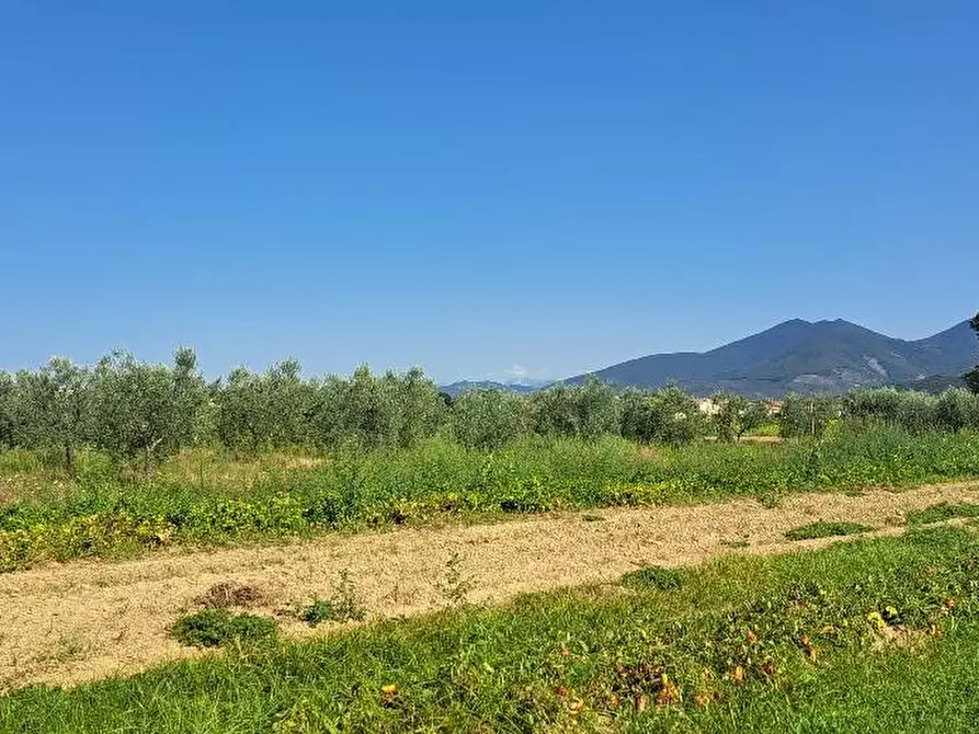 Immagine 4 di Terreno agricolo in vendita  a Cascina