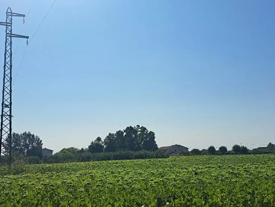 Immagine 5 di Terreno agricolo in vendita  a Cascina