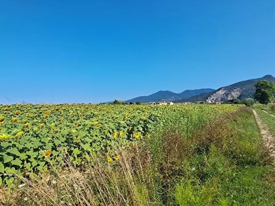 Immagine 11 di Terreno agricolo in vendita  a Cascina