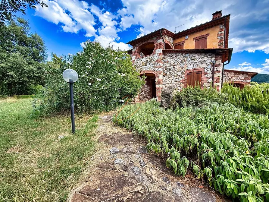 Immagine 46 di Villa in vendita  a Gavorrano
