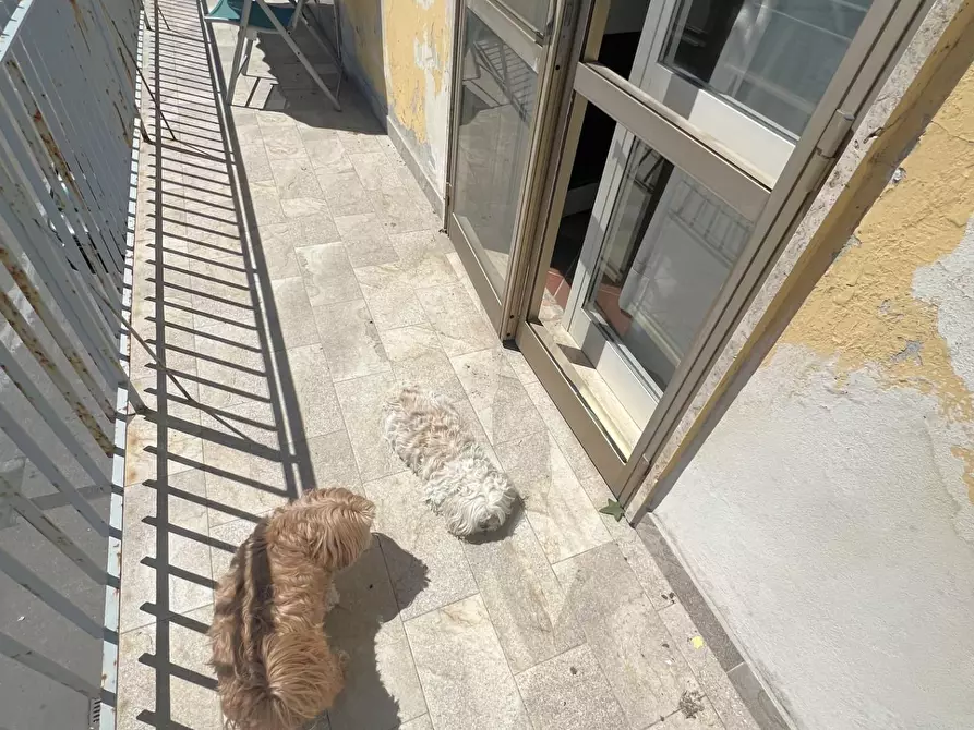 Immagine 4 di Appartamento in vendita  a Pisa