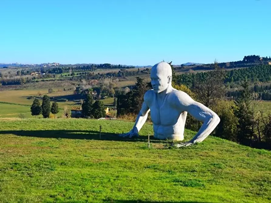 Immagine 1 di Terreno agricolo in vendita  a Peccioli