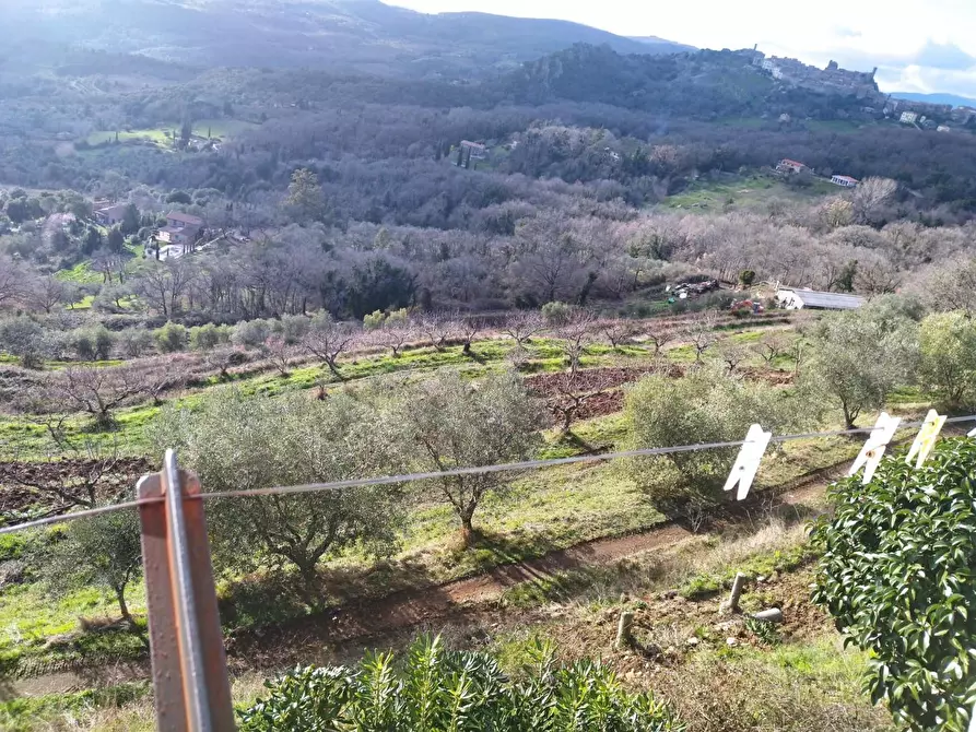 Immagine 5 di Rustico / casale in vendita  a Roccastrada
