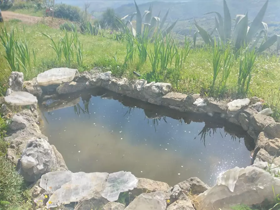 Immagine 4 di Rustico / casale in vendita  a Roccastrada