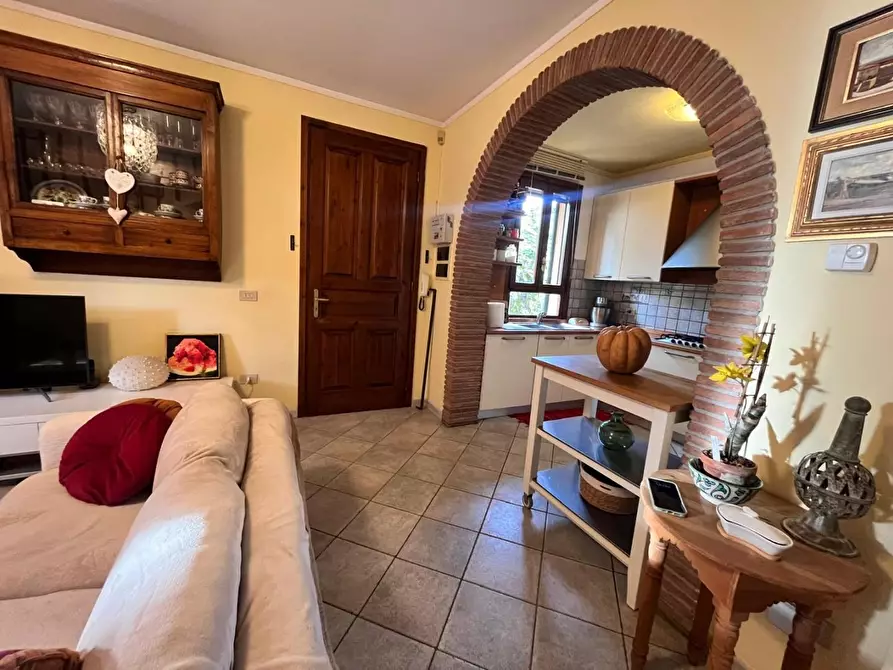 Immagine 5 di Appartamento in vendita  a Castellina Marittima