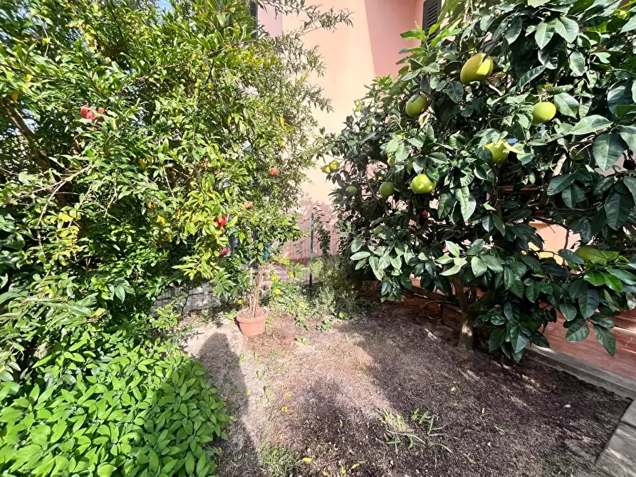 Immagine 46 di Appartamento in vendita  a Castellina Marittima