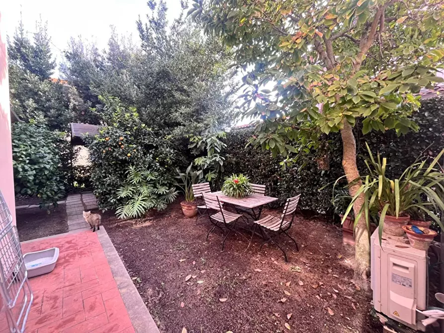 Immagine 47 di Appartamento in vendita  a Castellina Marittima