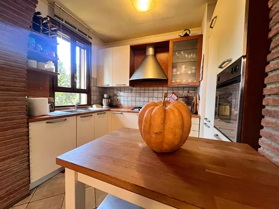 Immagine 10 di Appartamento in vendita  a Castellina Marittima