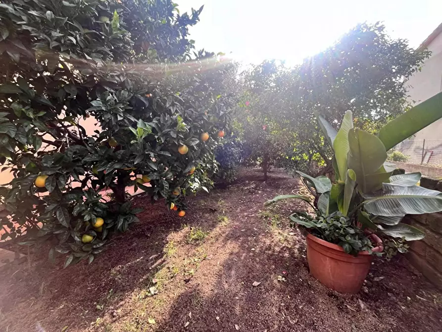 Immagine 45 di Appartamento in vendita  a Castellina Marittima