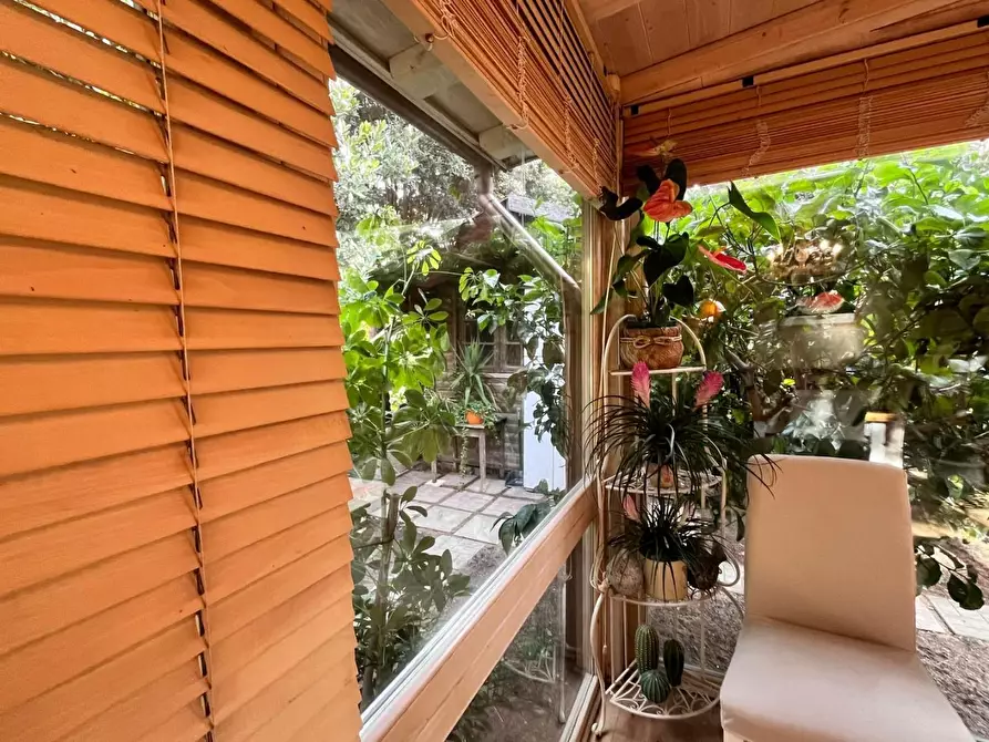 Immagine 12 di Appartamento in vendita  a Castellina Marittima