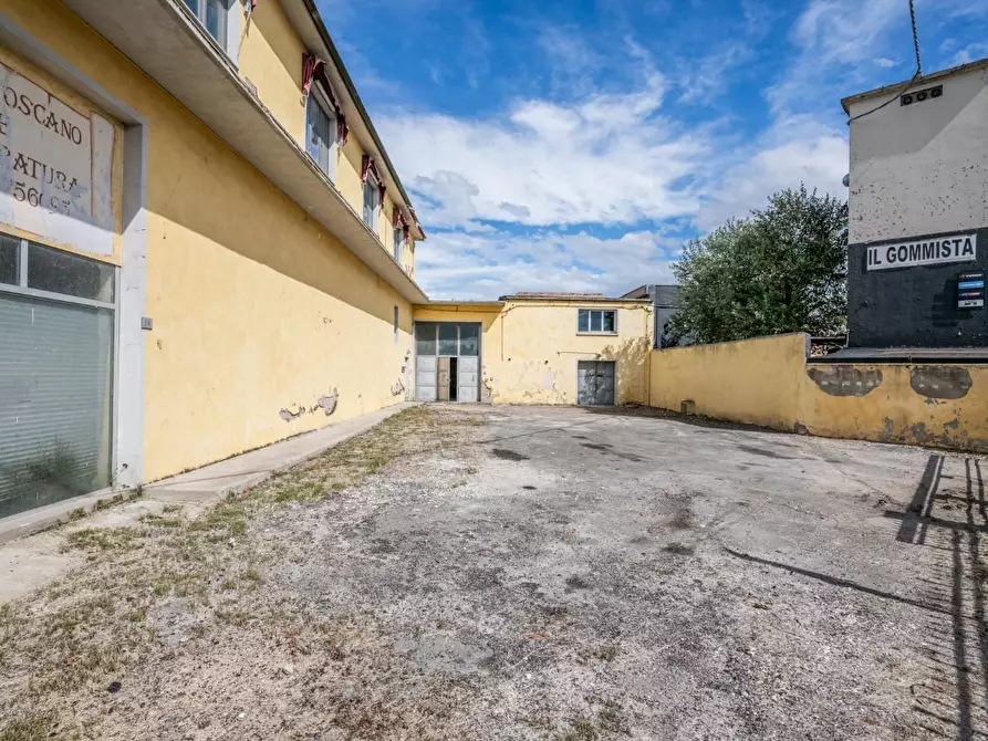 Immagine 4 di Capannone industriale in vendita  a Bientina