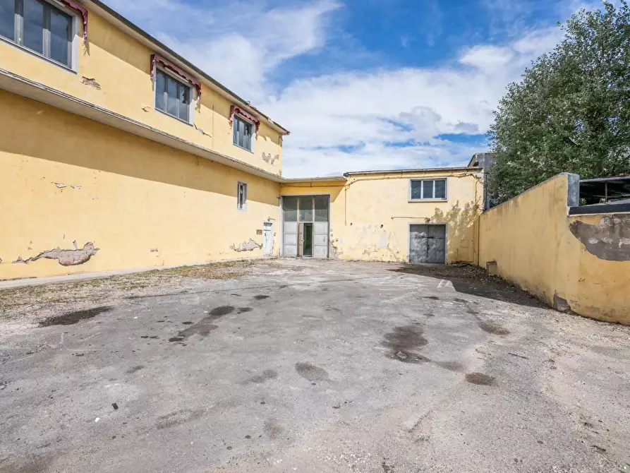 Immagine 3 di Capannone industriale in vendita  a Bientina