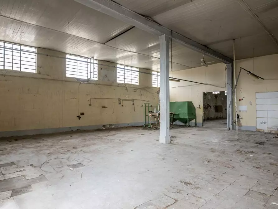 Immagine 13 di Capannone industriale in vendita  a Bientina