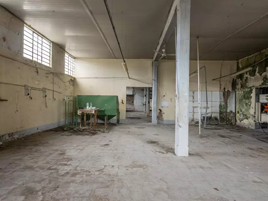 Immagine 15 di Capannone industriale in vendita  a Bientina