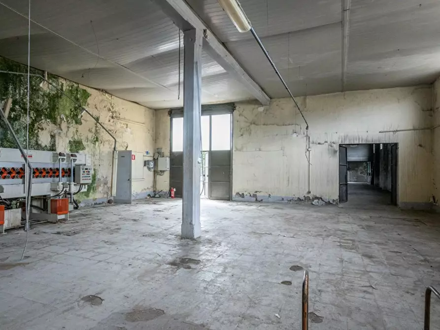 Immagine 16 di Capannone industriale in vendita  a Bientina
