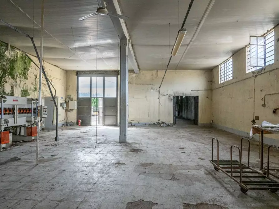 Immagine 17 di Capannone industriale in vendita  a Bientina