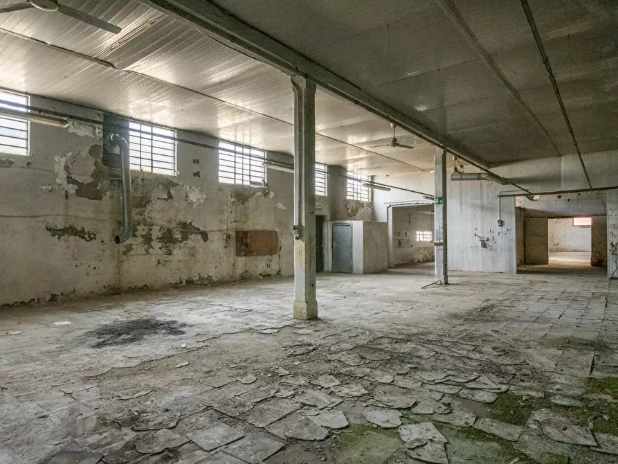 Immagine 47 di Capannone industriale in vendita  a Bientina