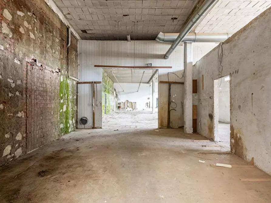 Immagine 43 di Capannone industriale in vendita  a Bientina