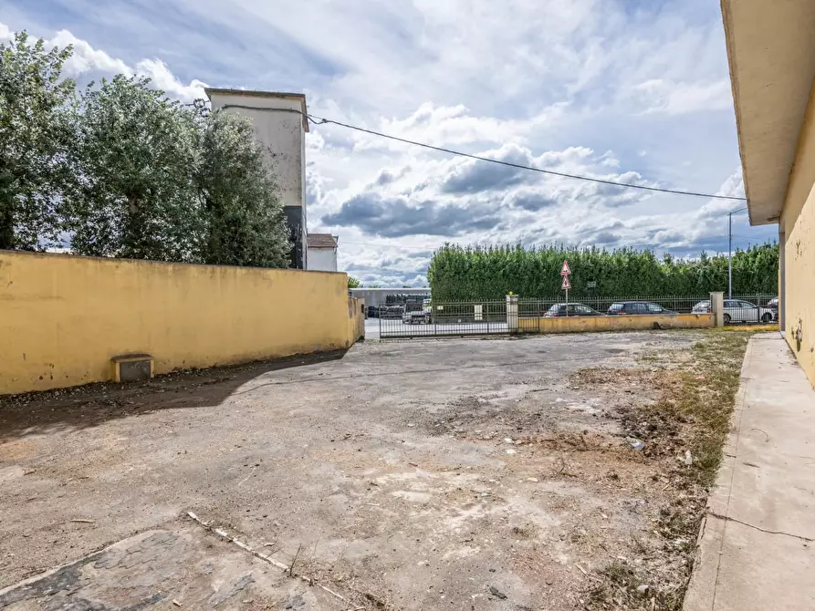 Immagine 9 di Capannone industriale in vendita  a Bientina