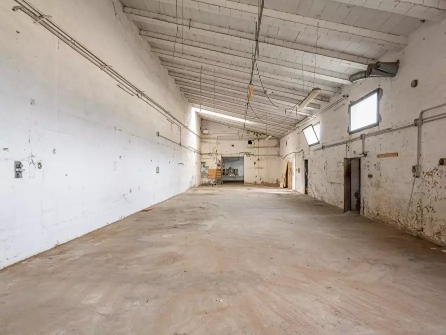 Immagine 38 di Capannone industriale in vendita  a Bientina