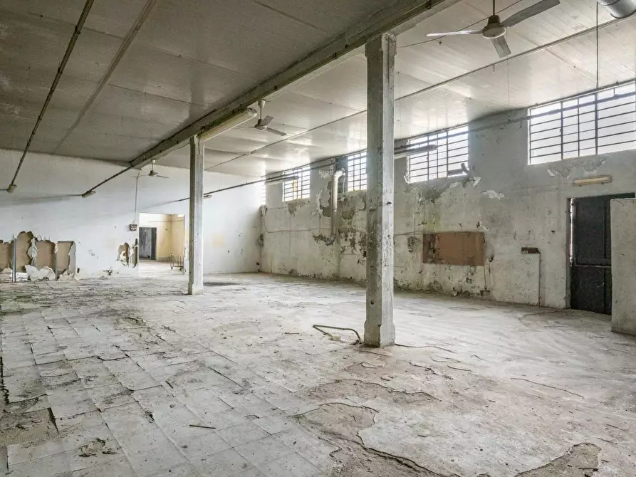 Immagine 46 di Capannone industriale in vendita  a Bientina
