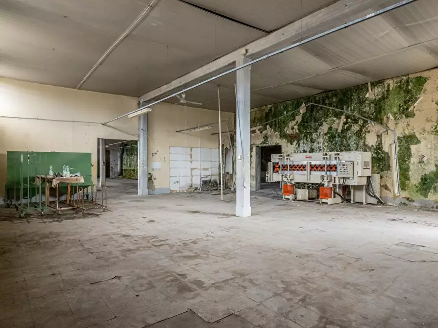 Immagine 14 di Capannone industriale in vendita  a Bientina