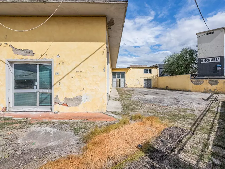 Immagine 6 di Capannone industriale in vendita  a Bientina