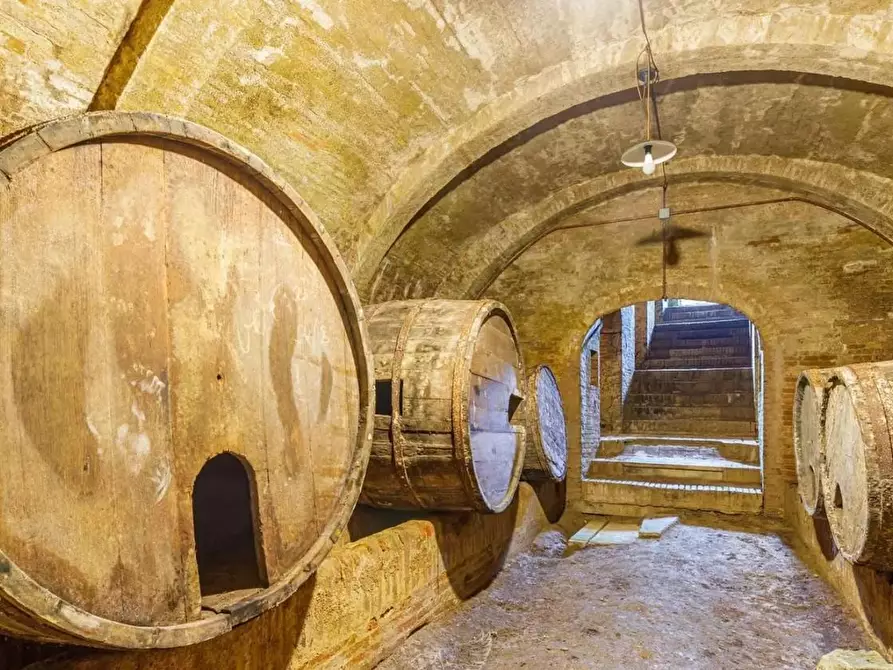 Immagine 10 di Villa in vendita  a Fauglia