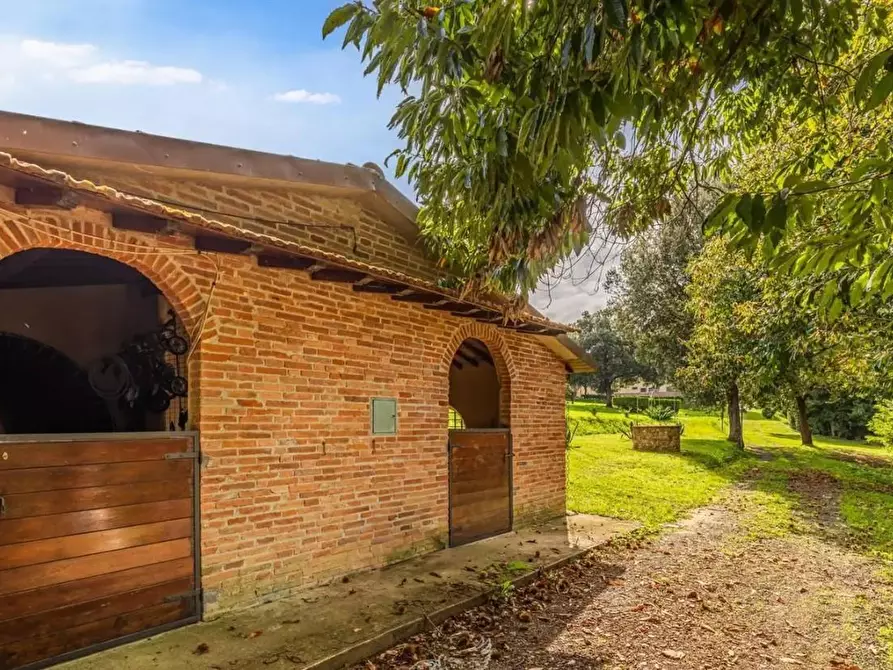 Immagine 18 di Villa in vendita  a Fauglia