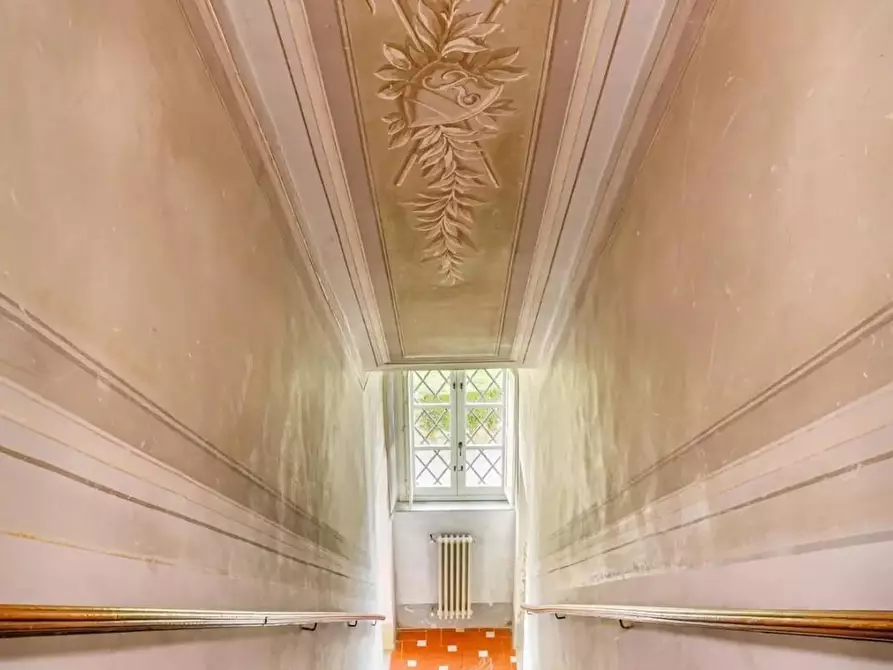 Immagine 5 di Villa in vendita  a Fauglia