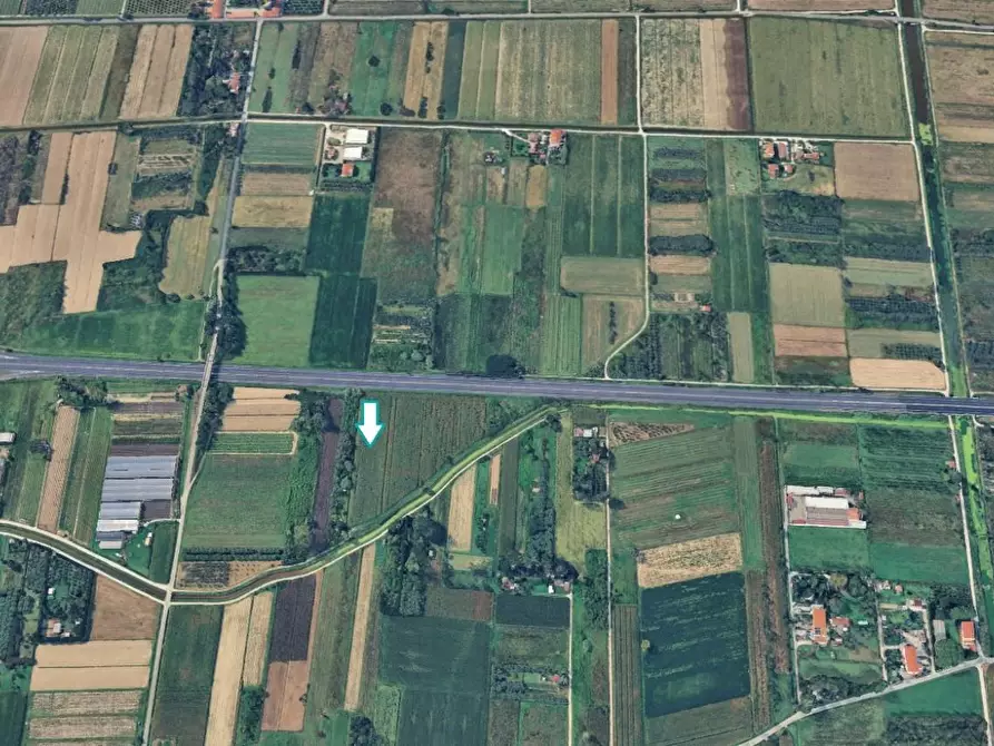 Immagine 1 di Terreno agricolo in vendita  a Vecchiano