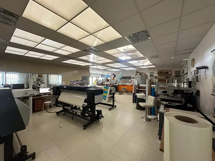 Immagine 9 di Attività artigianale in vendita  a Campiglia Marittima