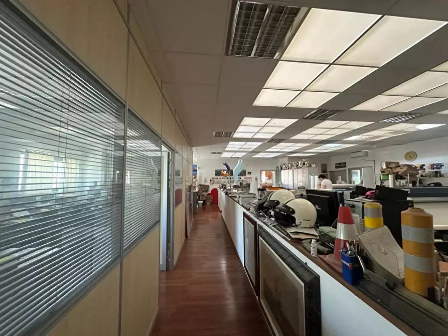 Immagine 14 di Attività artigianale in vendita  a Campiglia Marittima